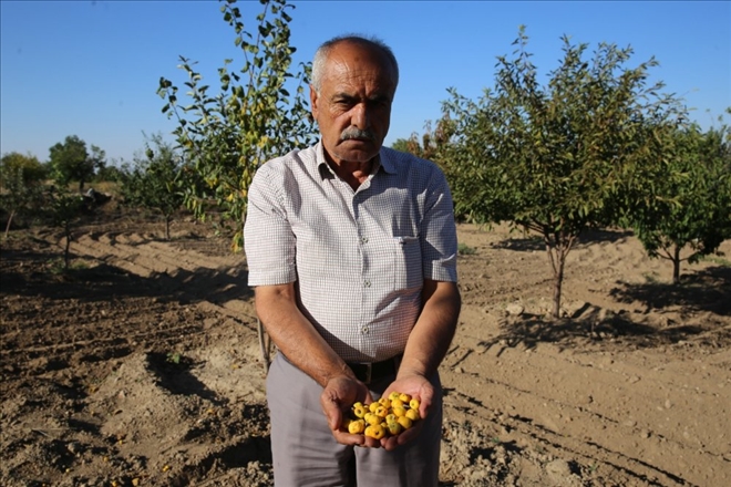 Şimdi ?alıç? zamanı..