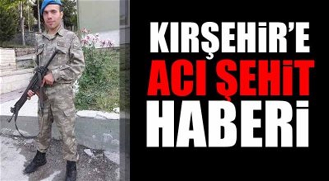 Barış Pınarı Harekatından Acı Haber