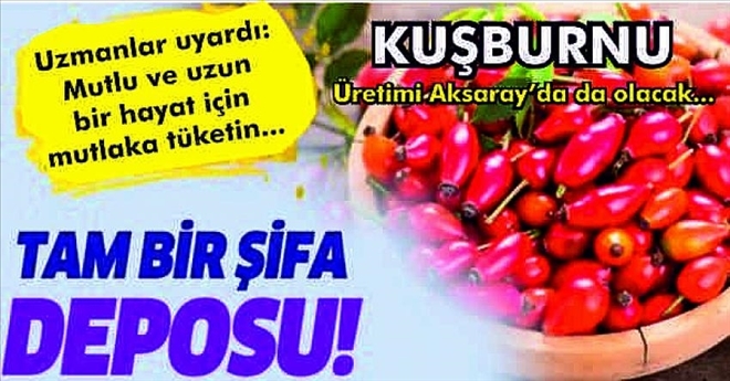 Aksaray´da ´Kuşburnu´ marka olabilir