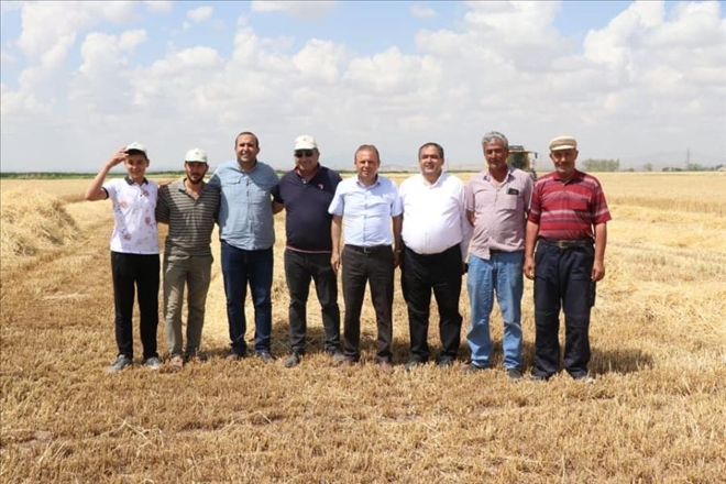 Hububat Hasat Dönemi Başladı!