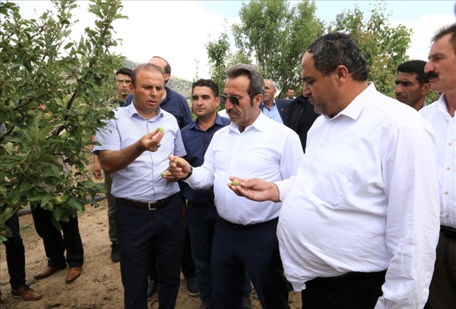 Vali Mantı İncelemelerde Bulundu!