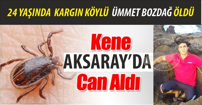 Kene Isırması 1 Kişi Hayatını Kaybetti!