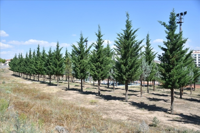  Parklara İlgi Devam Ediyor!