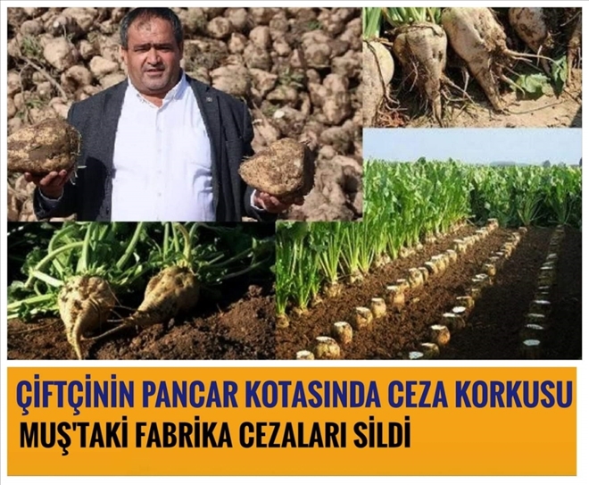 Aksaraylı Çiftçi Kota Cezasının Çözülmesini Bekliyor.