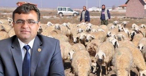 Aksarayda Anaç Koyun Keçi Destekleme Başvuruları Başladı