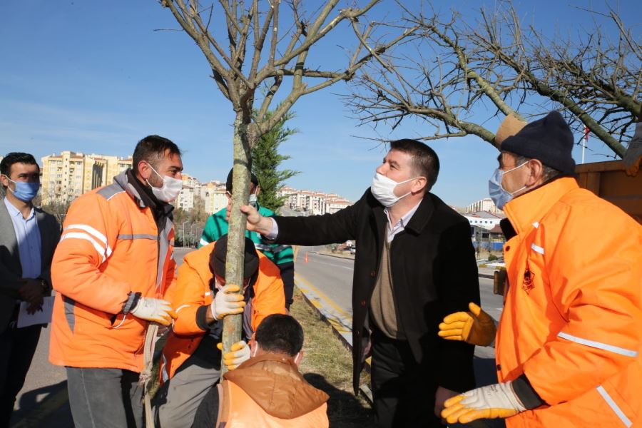 AKSARAY BELEDİYESİ FİDAN DİKİM SEFERBERLİĞİ BAŞLATTI