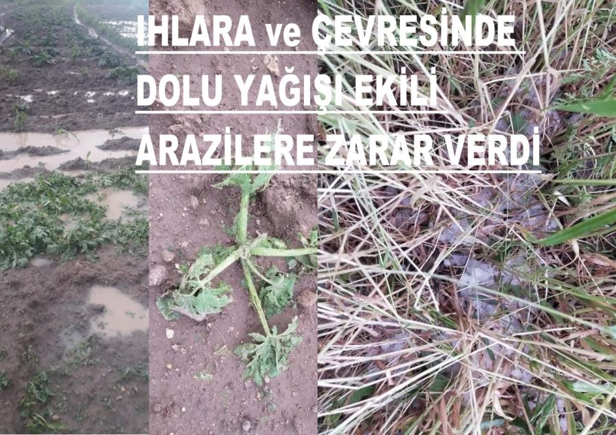 Ekili Araziler Zarar Gördü