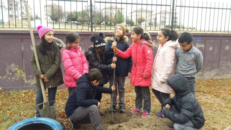 Yeşil Doğa, tertemiz bir dünya içinde yaşamak hepimizin hakkıdır.