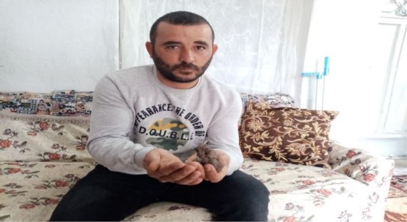 NEVŞEHİR