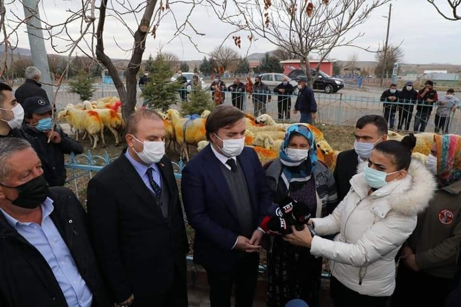 AKSARAY VALİSİ AYDOĞDU KAZADA KOYUNLARINI KAYBEDEN AİLEYE VERDİĞİ SÖZÜ YERİNE GETİRDİ.