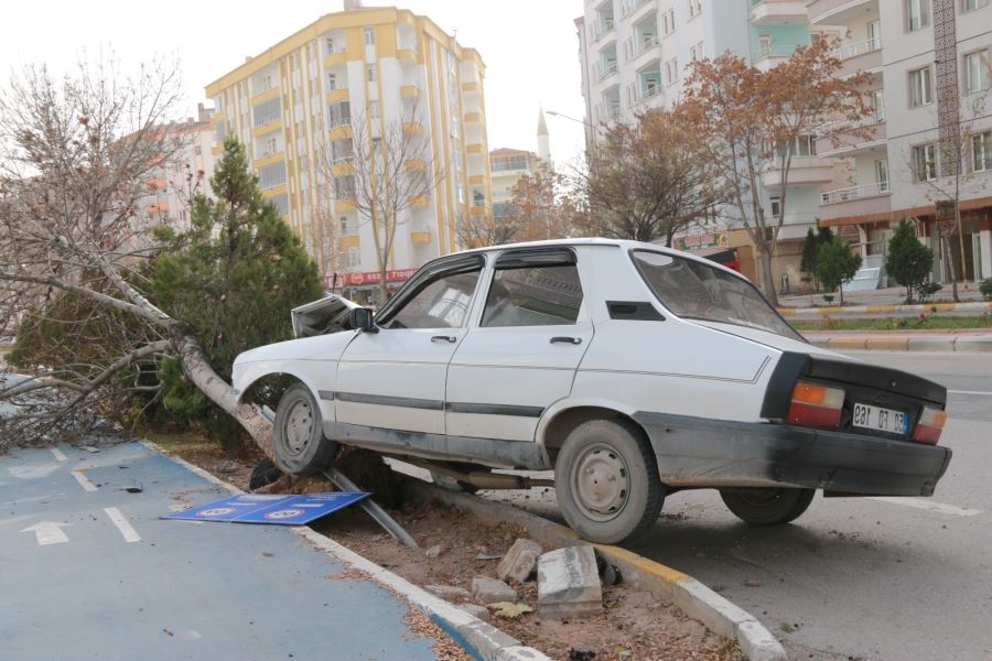 AKSARAY DA ARAÇ AĞACA ÇARPTI.1 KİŞİ YARALANDI.!