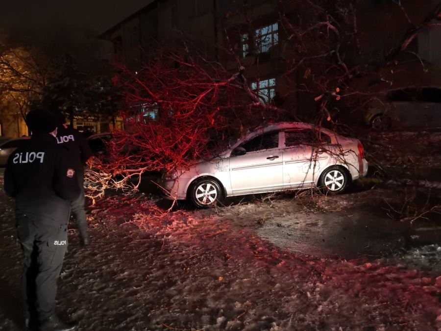 AKSARAY HACI HASANLI MAHALLESİNDE İKİ OTOMOBİL ÜZERİNE AĞAÇ DEVRİLDİ.!