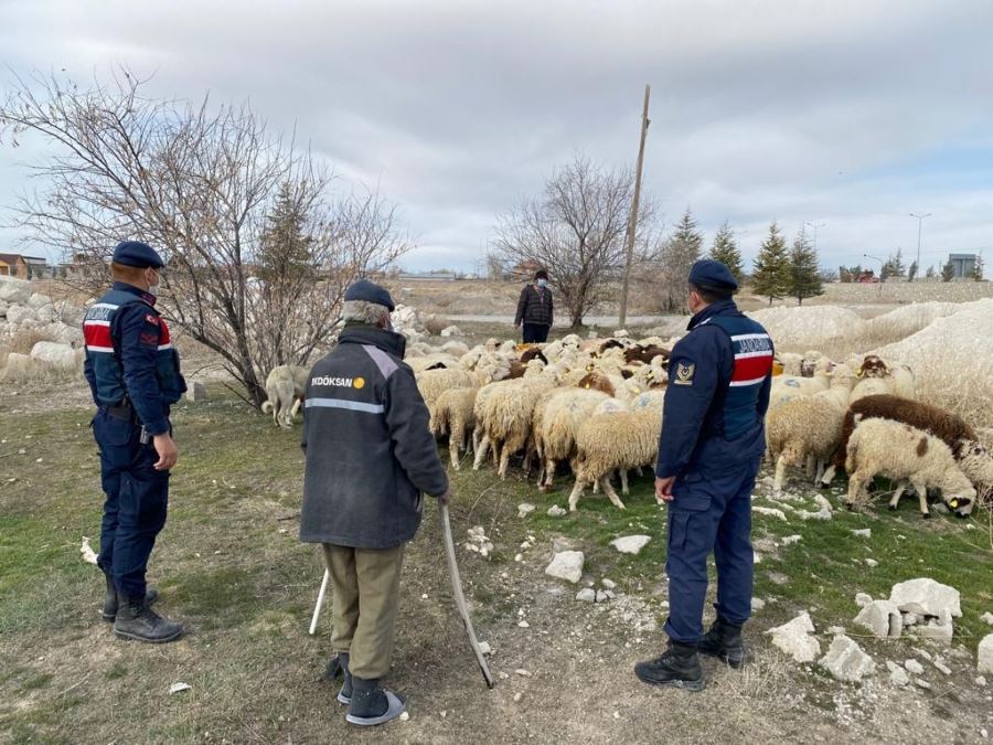 AKSARAY JANDARMASI KAYIP KOYUNLARI DRONE İLE BULDU.