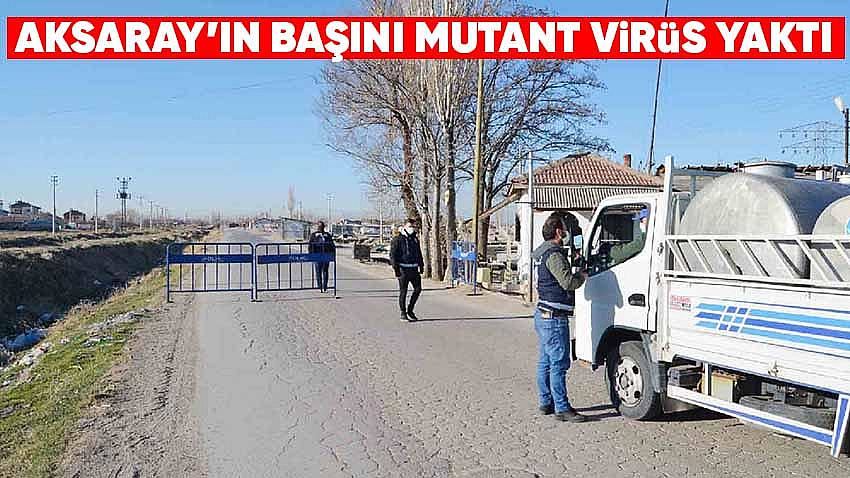 AKSARAYIN BAŞINI MUTASYONLU VİRÜS YAKTI.
