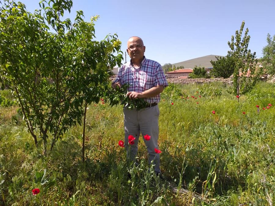 KÖYDE YAŞAM ARTIK CAZİBE DURUMUNA GELDİ.