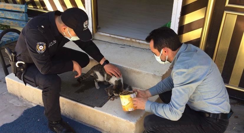 GÜLAĞAÇTA SOKAK HAYVANLARI UNUTULMADI.!