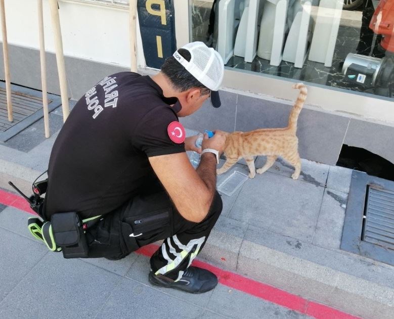 SUSAYAN KEDİYE ŞEFKAT ELİ.!